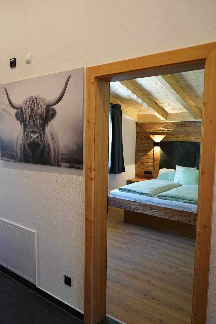 Ganze Ferienwohnung, Appartement/Fewo, Dusche, Wc, 2 Schlafräume in Hohe Tauern, Virgen