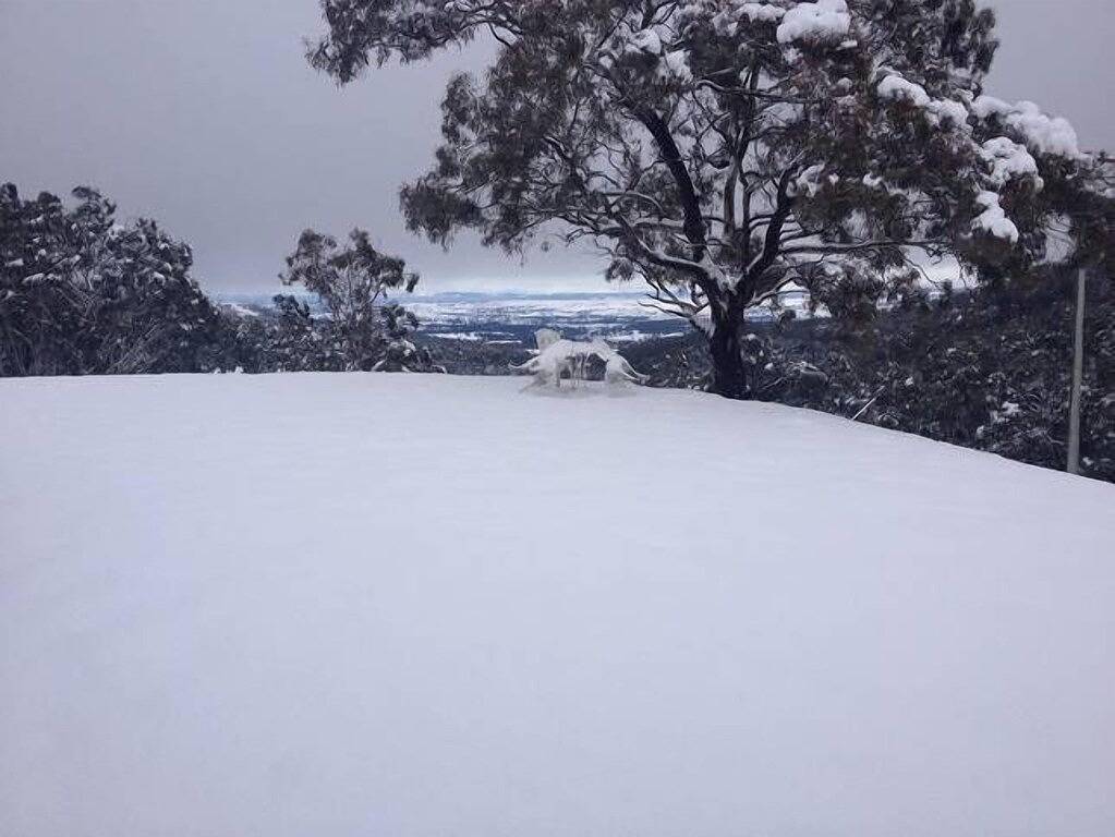 Chalet für 4 Personen in New South Wales