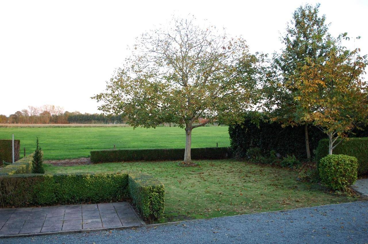 Hoppernachten in Zele, Province de Flandre-Orientale