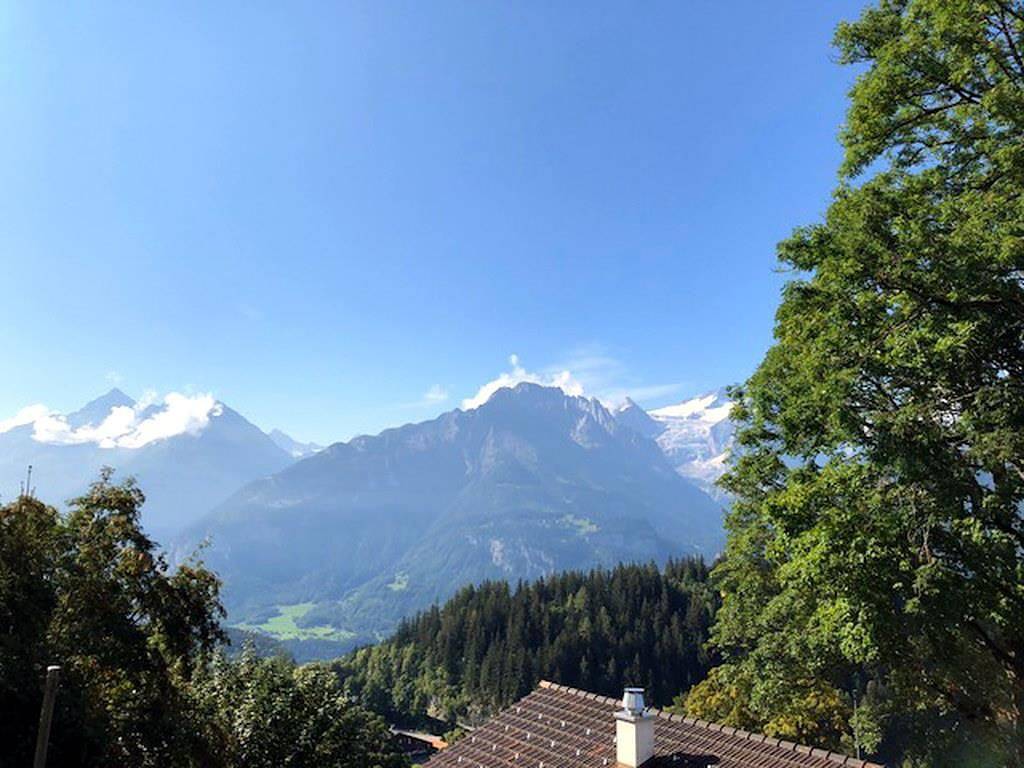 Ganze Ferienwohnung, Chalet Gibu gemütliche 6-Bettwohnung in Hasliberg, Berner Oberland