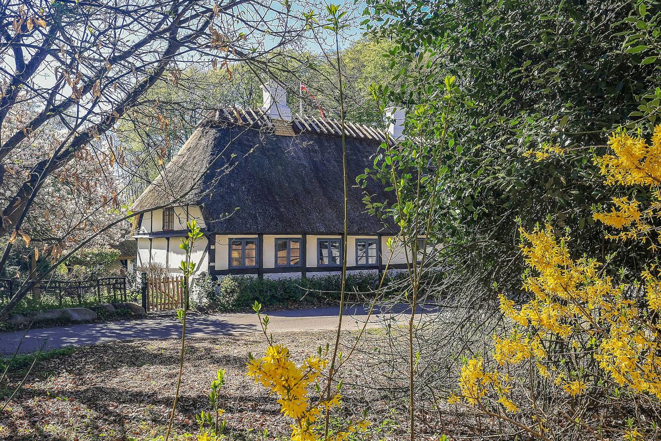 Reetgedecktes Fachwerkhaus aus dem Jahr 1785 auf Langeland in Tranekær, Langeland