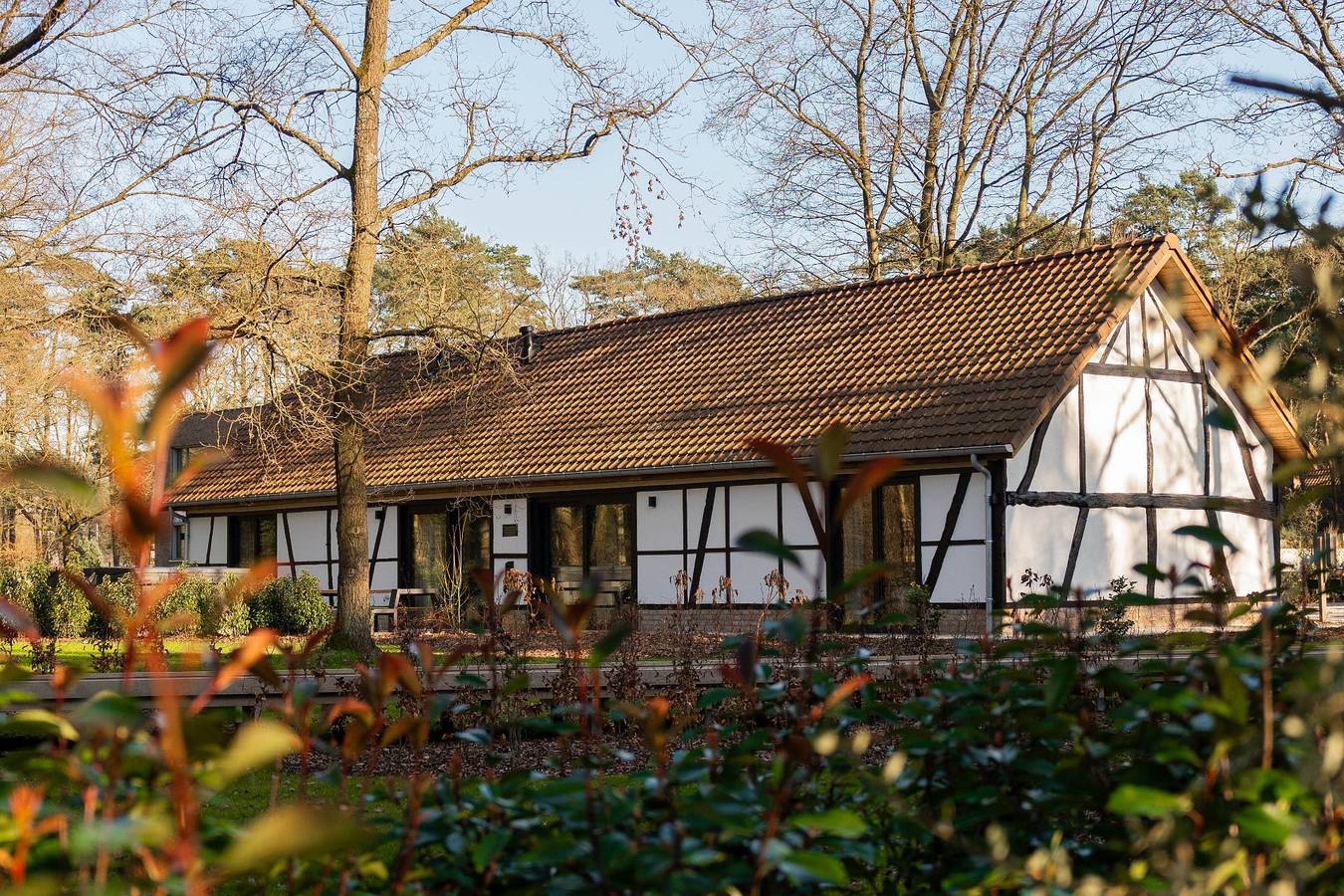 Woodz Lodges — Villa Lodge mit Whirlpool | 8 Personen in Heusden-Zolder, Hasselt und Umgebung