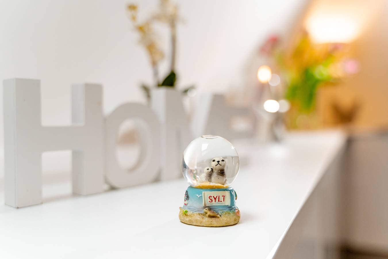 Ganze Ferienwohnung, Sylter Seestern App. Möwe 5 in Sylt-Ost, Sylt (Gemeinde)