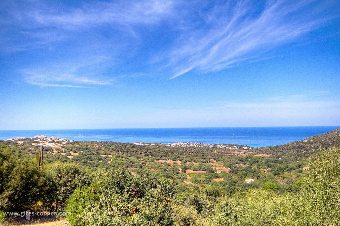 Boniparti in Monticello, Région de Calvi