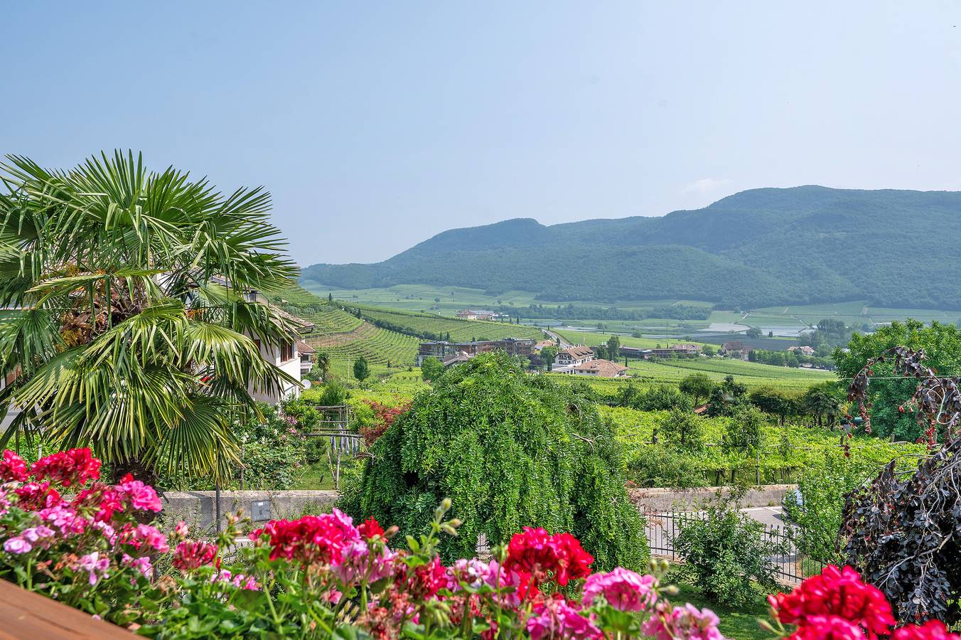 Zimmer 'Seaberhof 3 Erkerzimmer' mit Seeblick, Gemeinschaftspool und Wi-Fi in St. Josef am See, Kaltern an der Weinstraße