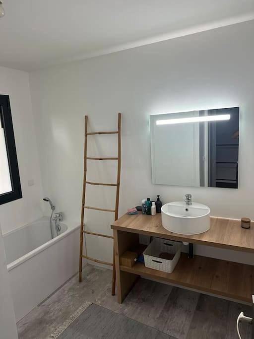 Location de vacances pour 9 personnes, avec jardin ainsi que piscine et terrasse, animaux acceptés à Marcheprime - 2