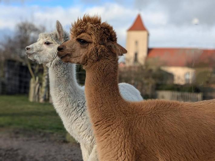 Bungalow für 2 Personen, mit Terrasse und Garten sowie Ausblick in Kloster Lehnin