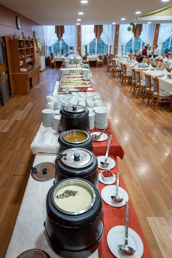 Hotel Barátság in Hajdúszoboszló, Hajdúszoboszlói járás