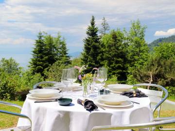 Vacation House for 5 Guests in Montreux, Lake Geneva, Picture 1