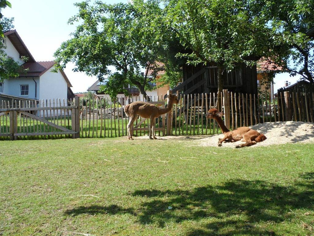 Ferienhaus mit 3 Schlafzimmer in Falkenstein ( Cham), Ostbayern