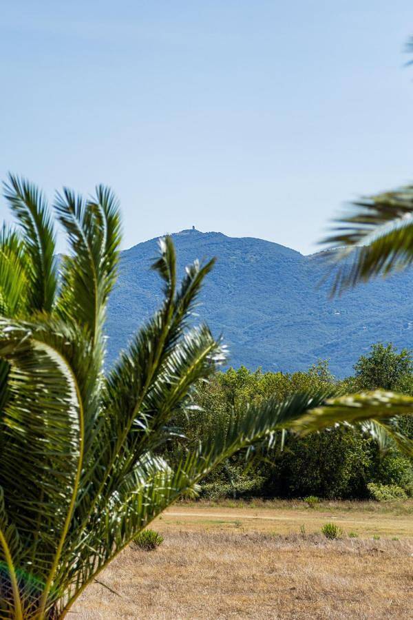 Parc de vacances pour 2 personnes, avec vue et bassin pour enfant ainsi que piscine et jardin, animaux acceptés dans Occitanie - 4