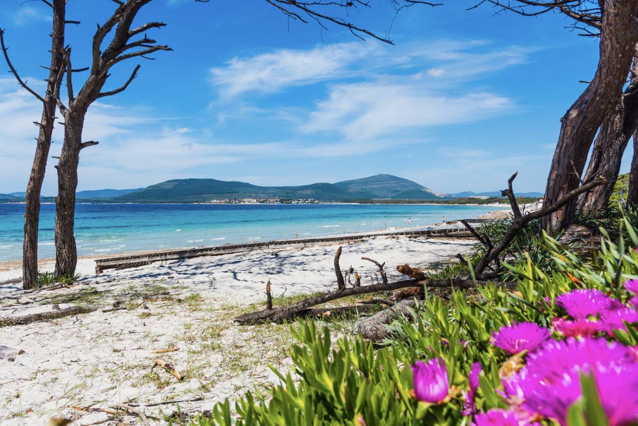 Apartamento entero, Villa Le Dune a few steps from the sandy beach of Maria Pia  in La Pietraia, Alguer