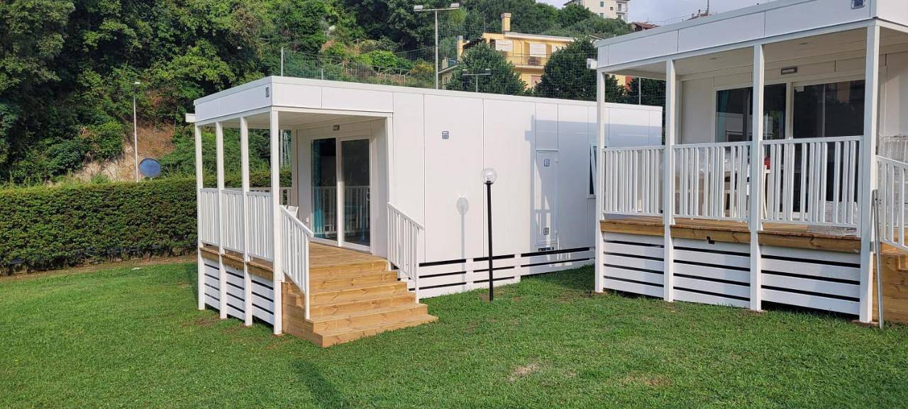 Rosmarino in Celle Ligure, Riviera di Ponente