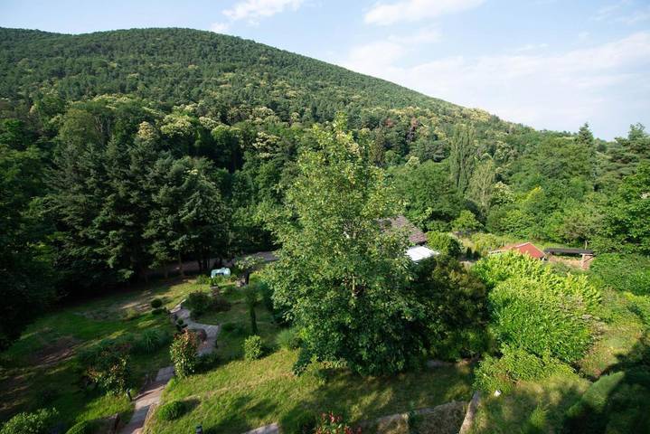Ferienwohnung für 2 Personen, mit Ausblick und Garten in Sankt Martin - 4