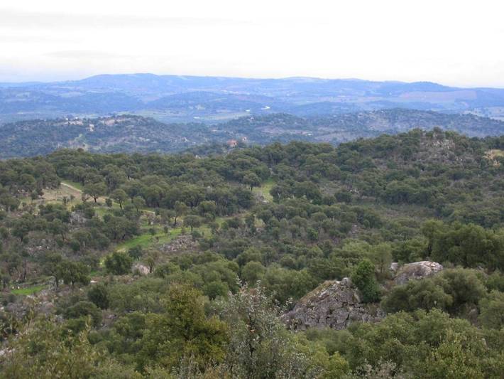 Location de vacances pour 5 personnes à Mirandela - 2