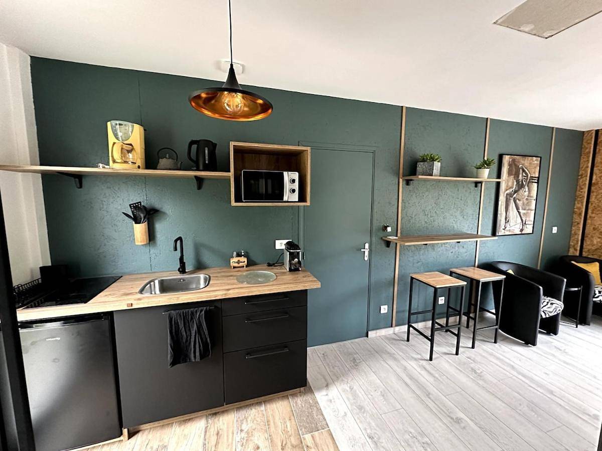 Appartement entier, Alice's Studio and Oasis in Poitiers, Vienne (France)