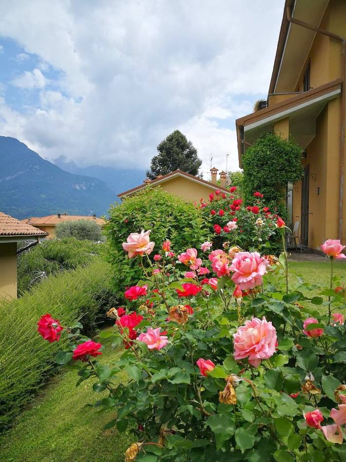 Location de vacances pour 5 personnes, avec vue ainsi que jardin et vue sur le lac à Oliveto Lario - 3