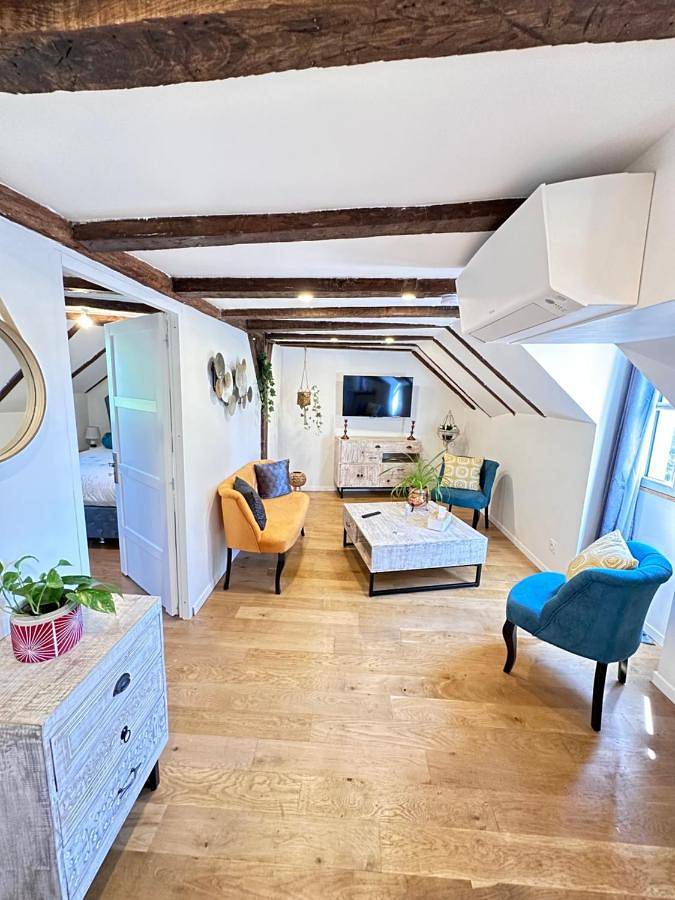 Chambre d’hôte pour 8 personnes, avec terrasse ainsi que jardin et vue, animaux acceptés à Saint-Avertin - 4