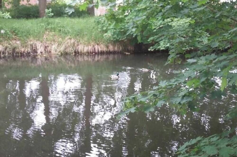 Gästehaus am Neetzekanal in Brietlingen, Nordheide