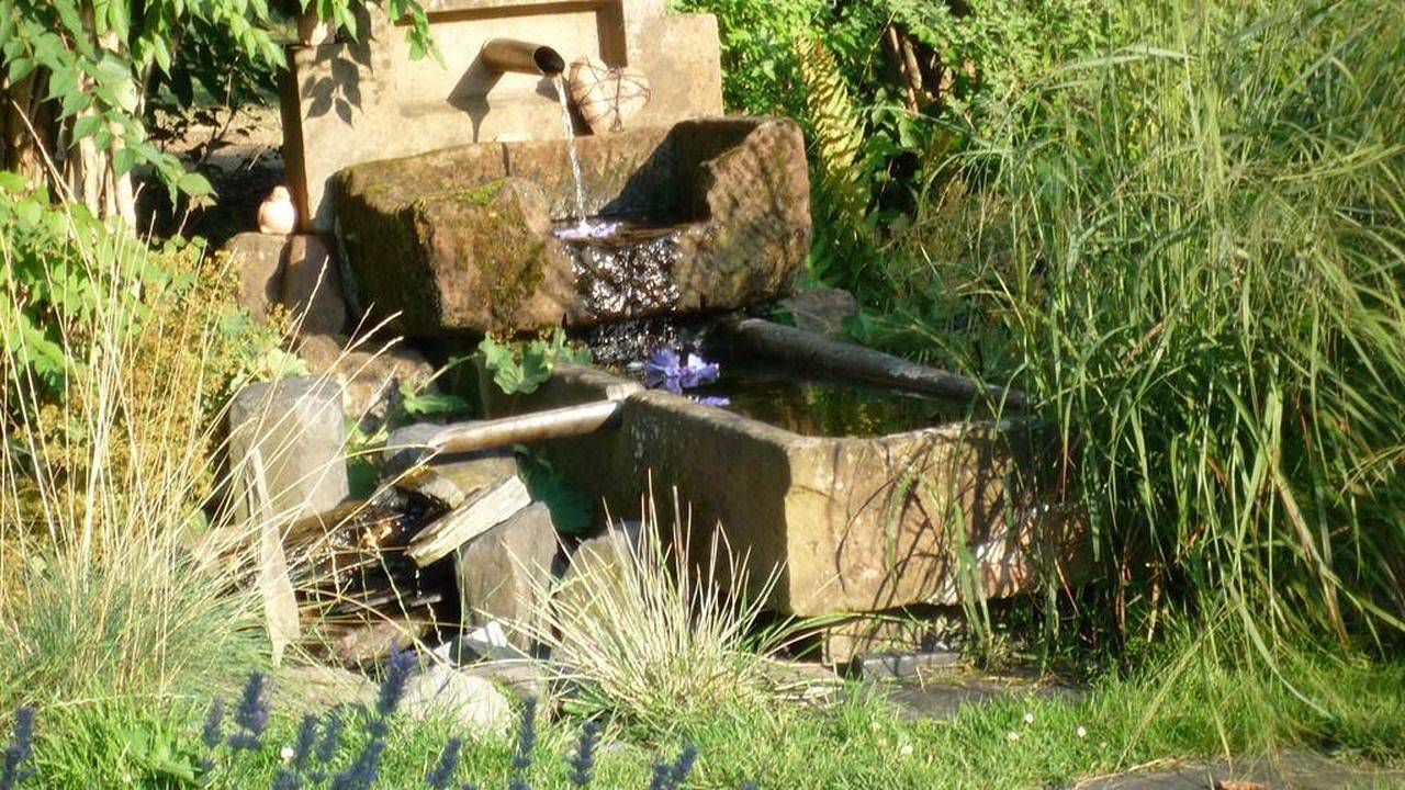 Geheel vakantieappartement, Vakantieappartement voor 3 personen met tuin in Saarburg, Mosel-Saar