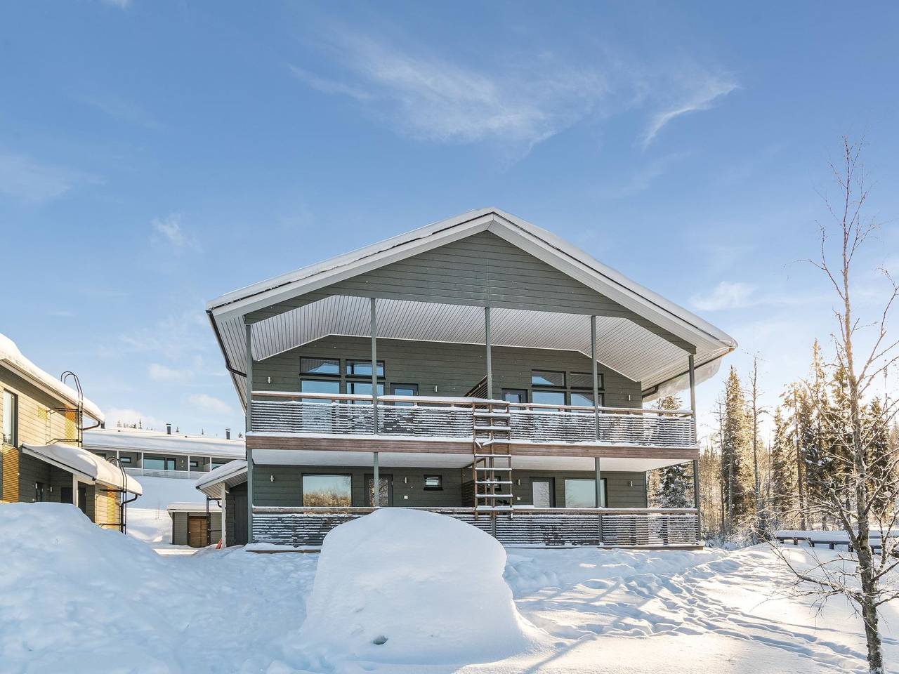 Hallan karhu c, paritalo in Ukkohalla, Kainuu