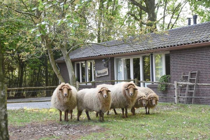 Vakantiehuis voor 2 personen, with Terras and Tuin as well as Uitzicht in Boxtel
