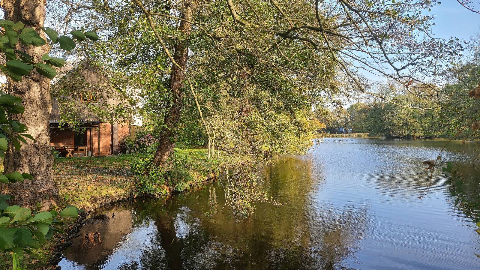 Gut Hanerau, Erlenufer (keine Monteure) in Hanerau-Hademarschen, Rendsburg-Eckernförde