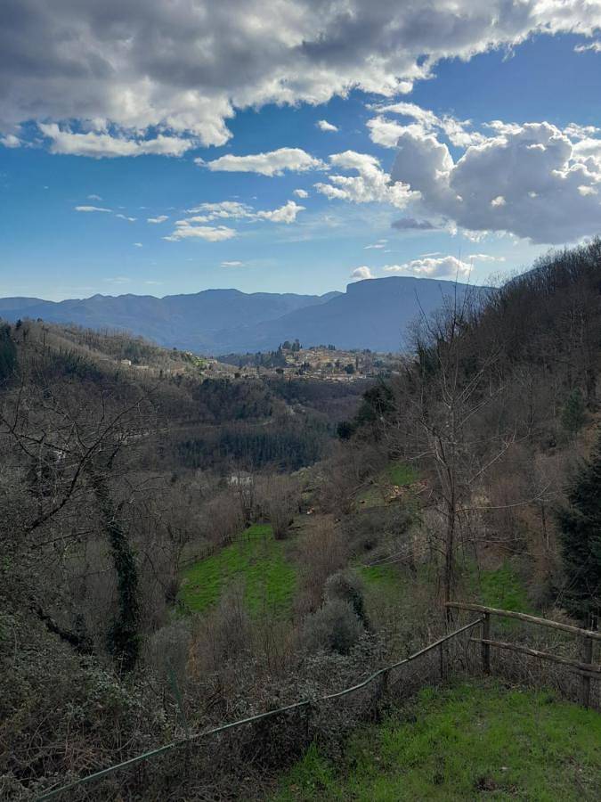 Ganze Wohnung, Two-Bedroom Apartment in Barga, Parco Regionale delle Alpi Apuane