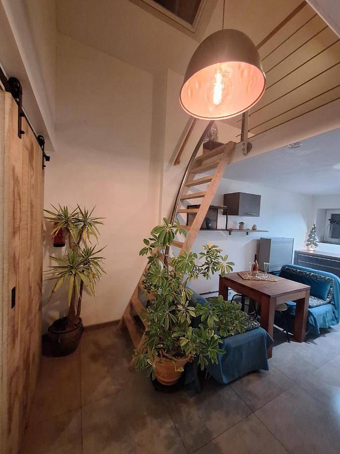 Location de vacances pour 3 personnes, avec terrasse et jardin à Andenne - 2