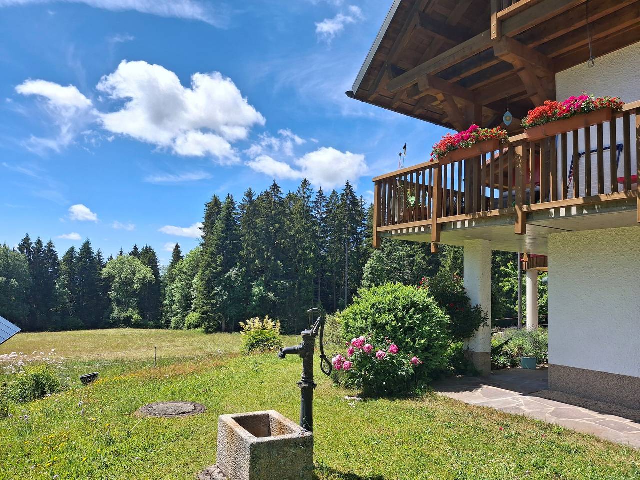 Appartamento intero, Appartamento Sonnenmatt – vista sul verde, relax totale, ideale per il "Digital Detox" in Dachsberg, Sudschwarzwald