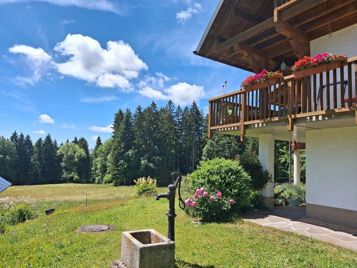 Apartamento inteiro, Apartamento Sonnenmatt – vistas para a natureza, relaxamento, ideal para “Digital Detox” in Dachsberg, Floresta Negra do Sul