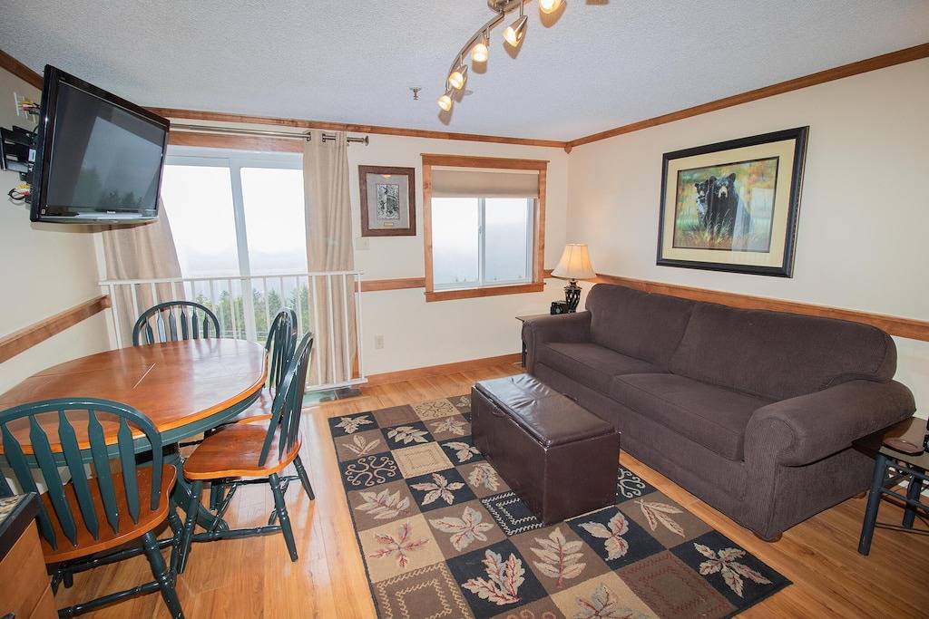 Ganze Wohnung, Wunderschöne 2Br / 2Ba Parking Wifi- neben dem Dorf mit Seeblick! in Snowshoe, Greenbrier River