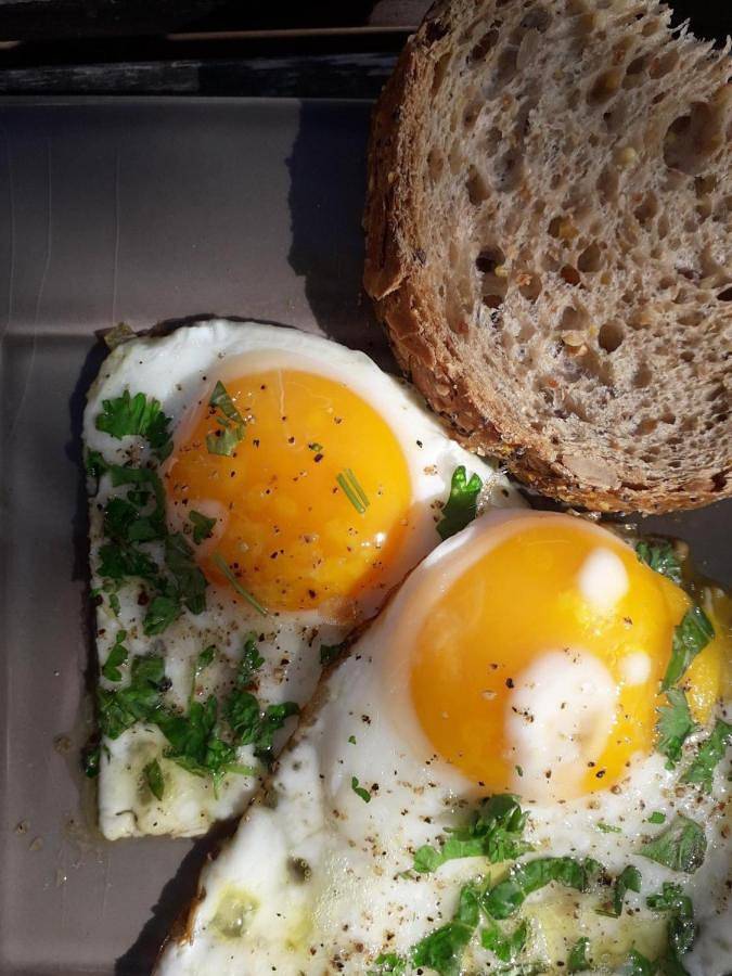 Location de vacances pour 2 personnes, avec piscine et sauna ainsi que vue et jardin à Maasmechelen - 3