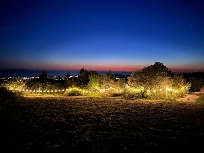 Bungalow für 2 Personen, mit Whirlpool und Pool sowie Garten in San Vincenzo - 3