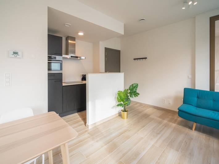 Ganze Wohnung, Elegantes City-Hub für 8 Personen mit Terrasse in Antwerpen, Antwerpen und Umgebung