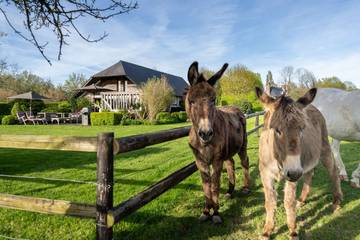 Villa for 4 Guests in Bonnebosq, Calvados, Picture 2