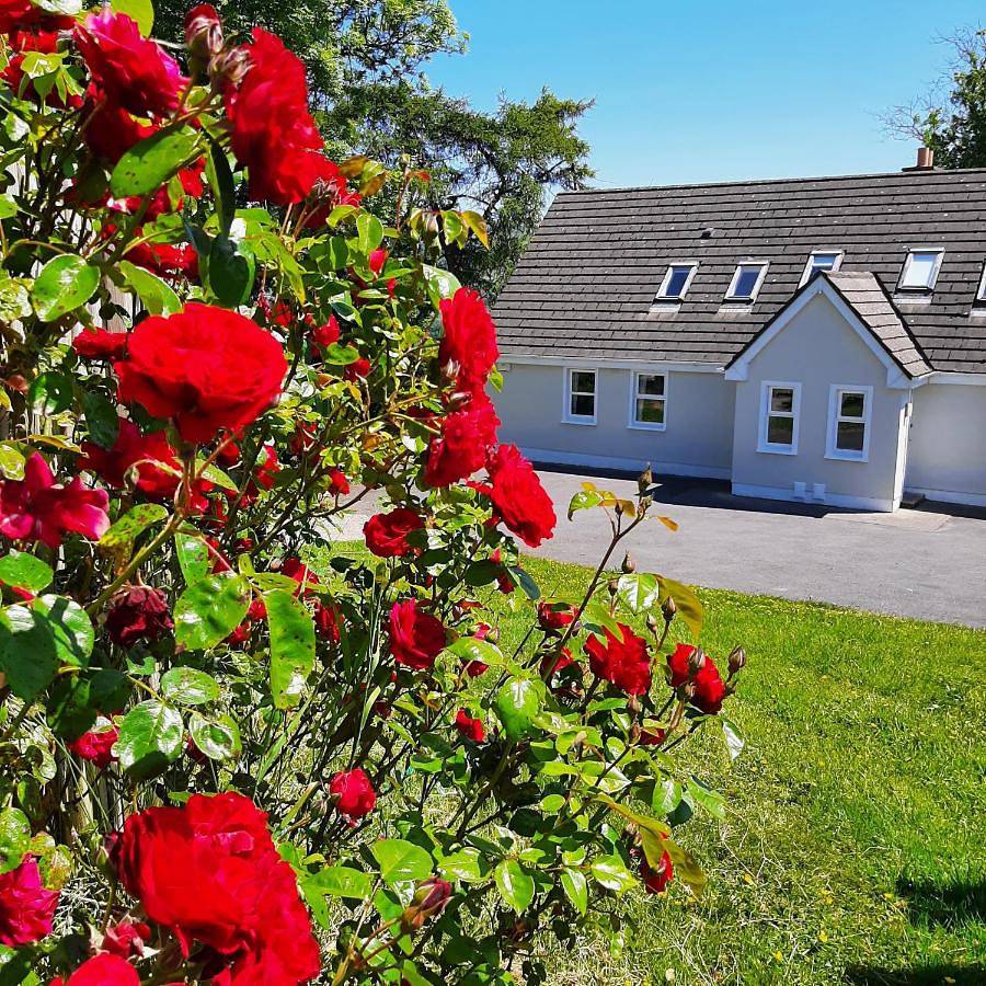 Three-Bedroom Cottage in County Wicklow