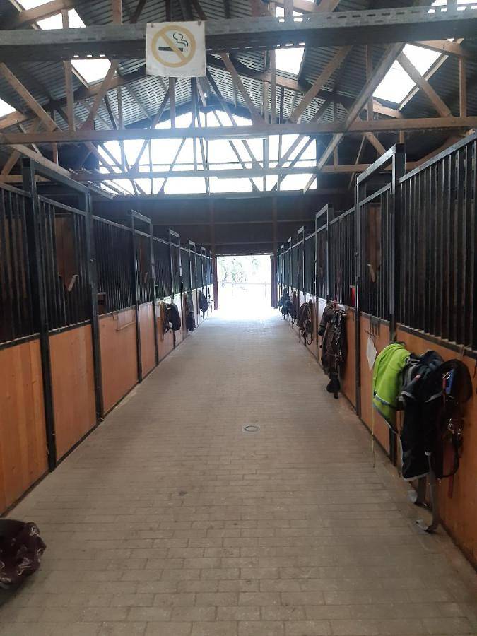 Gîte pour 4 personnes, avec terrasse, animaux acceptés à Plombières - 4