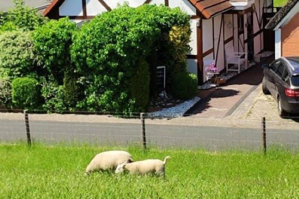 Ferienhaus am Strand im Herzen der Wesermarsch in Elsfleth, Wesermarsch