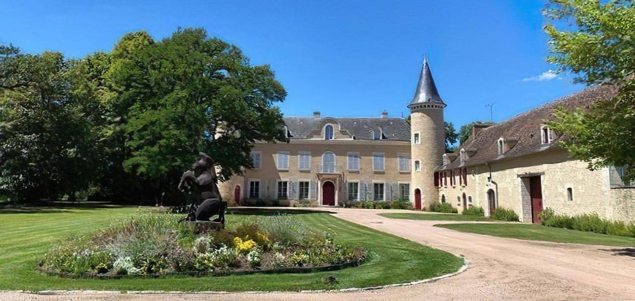 La Brosse Estate - Chateau de la Brosse in Lureuil, Région de Le Blanc