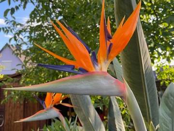 Ferienwohnung für 3 Personen in Röbel, Müritz, Bild 2