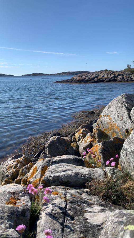 Ferienhaus mit Meerblick für 8 Personen, mit Garten und Ausblick in Kristiansand - 2