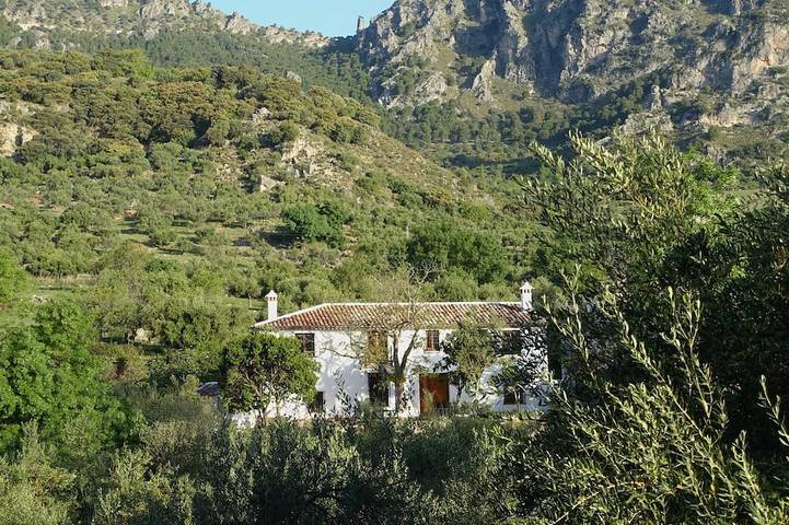 Gîte pour 6 personnes, avec Terrasse et Jardin à Grazalema