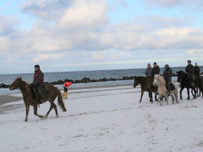 Ferienhaus für 4 Personen, mit Garten in Ribnitz-Damgarten - 3