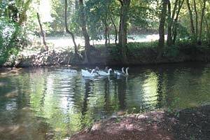 Le Chêne (Le Petit Varrat) in Lignac, Région de Le Blanc