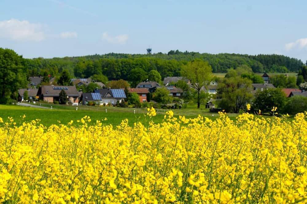 Vacation home Beulskopf - relaxing in nature in Heupelzen, Région d'Altenkirchen