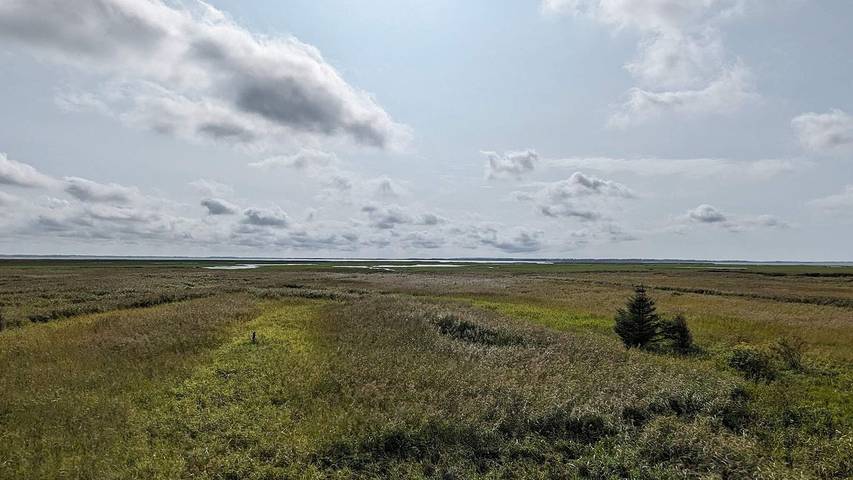 Ferienhaus für 9 Personen, mit Garten und Whirlpool sowie Sauna in Nørhede Vest - 2