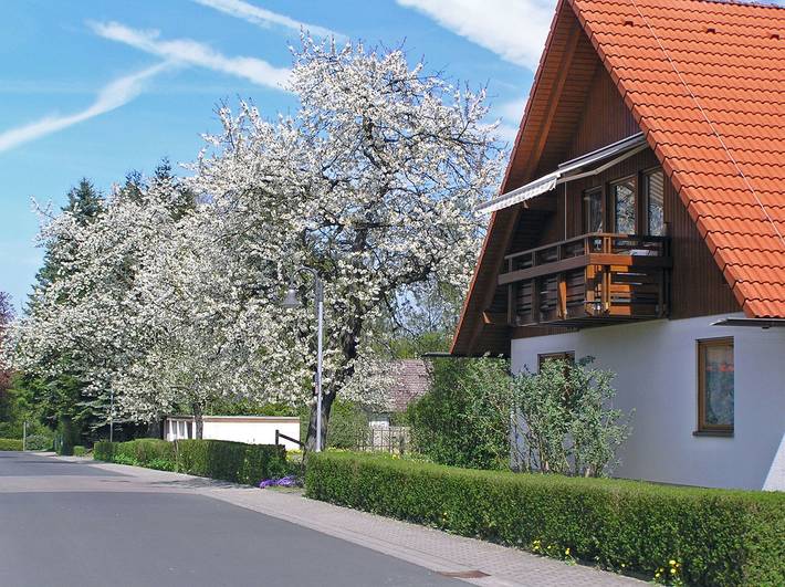 Ganze Wohnung, Ferienwohnung Am Schlosspark - Ferienwohnung mit 73 qm, 1 Schlafzimmer, 1 Wohn- / Schlafbereich, max. für 4 Personen in Schlitz, Rhön-Hessen