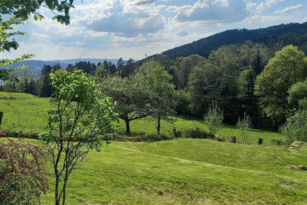 Magnifique gîte, confort et pleine nature avec sauna. in Vagney, Parc naturel régional des Ballons des Vosges