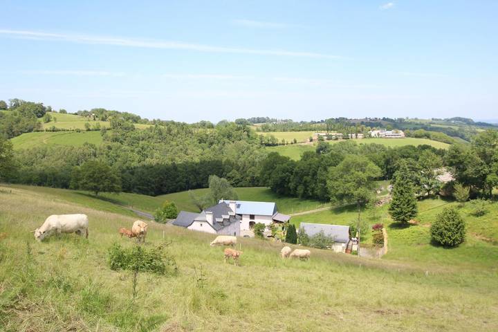 Gîte pour 5 personnes, avec jardin dans Vallée d'Ossau - 4